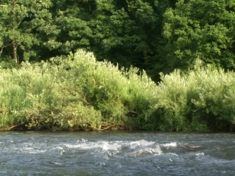 Severn Stock Footage 490159