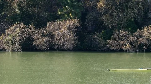 Sevilla, Spain. Rowers training on the river Guadalquivir Stock Footage 71981805