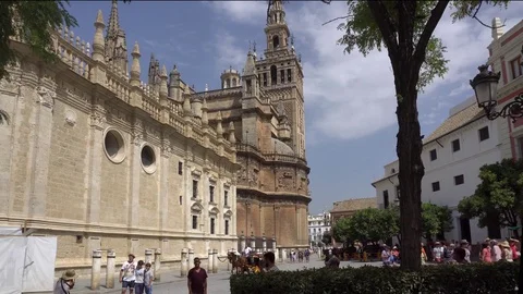 Seville cathedral Stock Footage 83937200