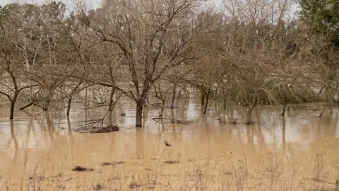 Seville river experiencing severe winter flooding Vídeo Stock 332740537