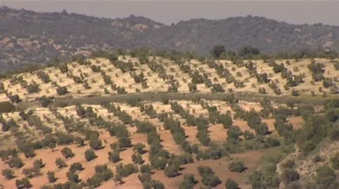 Seville spain Vídeos de archivo 11965946