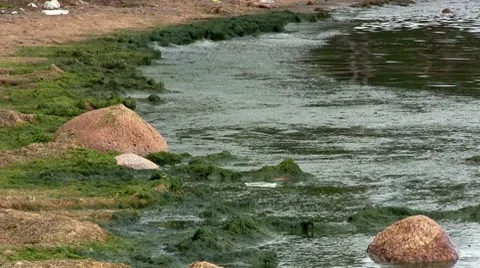 Sewage beached Stock Footage 8652753