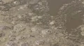 Sewage, dirty, polluted water HD Footage