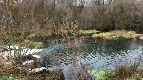 Sewage discharges into the river Stock Footage 120005904