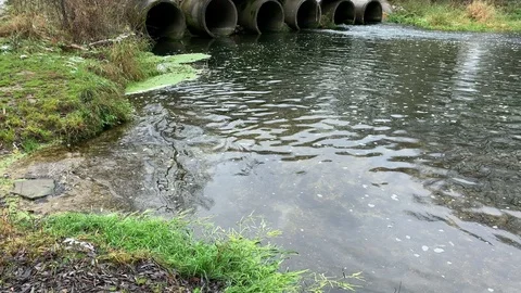 Sewage discharges into the river Stock Footage 120012077