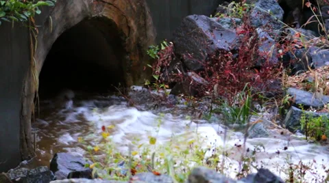 Sewage Drain Vídeos de archivo 36030855