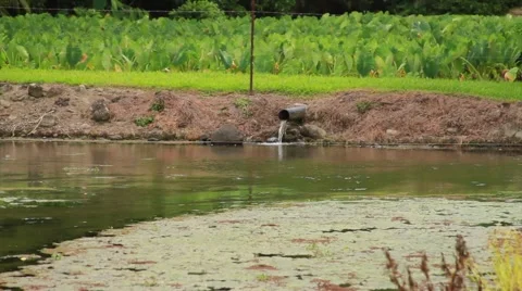 Sewage in Paradise Video stock 53484593