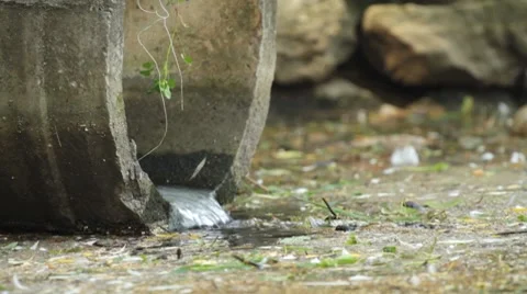 Sewage pipe Vidéo 8510107