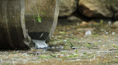 Sewage Pipe Stock-Footage 37873464