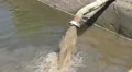 Sewage pipe polluting water 3 HD Footage