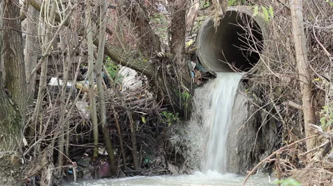 Sewage Polluting Pipe Stock Footage 46126280