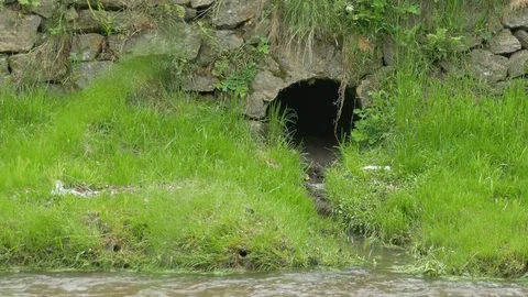 Sewage in the River Stock Footage 77350777