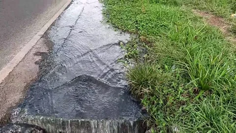 Sewage spill Stock Footage 269614309