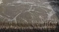 Sewage. Waste water. Water recycling. HD Footage