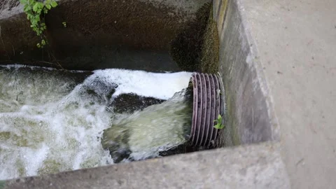 Sewage water flows from a drainage pipe into a river or channel, foaming and mur Stock Footage 309332863