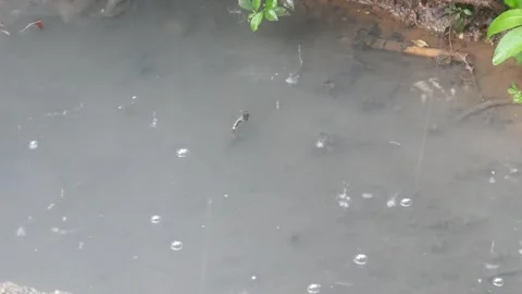 The sewage water is murky with raindrops Stock Footage 325848527