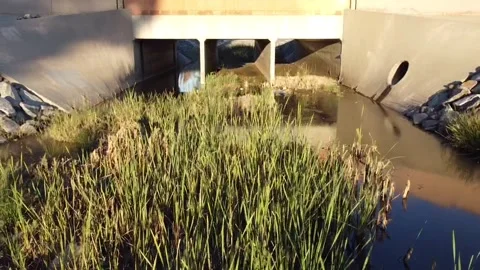 Sewer Drain Video stock 182083503