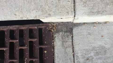 Sewer entry Vídeo Stock 134909139