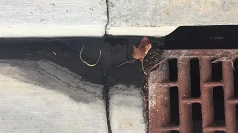 Sewer entry Stock Footage 134909237