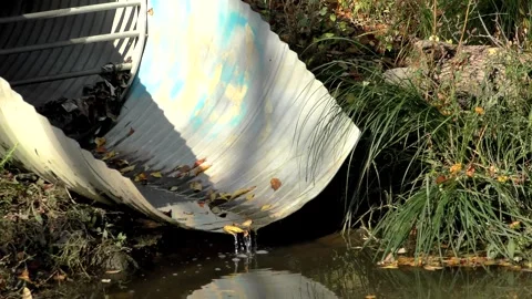 The sewer pipe pollutes the river Stock-Footage 319427301