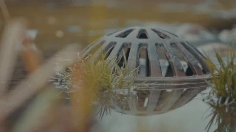 Sewer in Pond Stock Footage 99880564