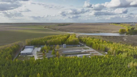 Sewerage water processing station in green trees aerial Video stock 278641135