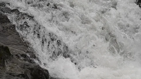 Sewin  Salmo trutta attempting to leap waterfall Stock Footage 120358374