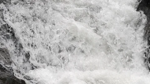 Sewin Salmo trutta jumping waterfall on teifi tributary Stock Footage 120358407
