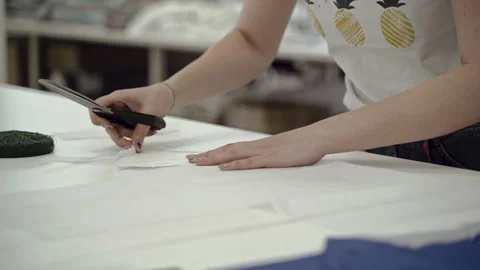 Sewing factory. The work of a seamstress behind a typewriter. Making clothes Stock Footage 240987010