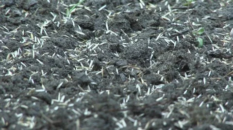 Sewing  Stock Footage 760056