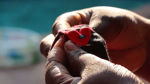 Sewing on heart button Stock Footage 87659162