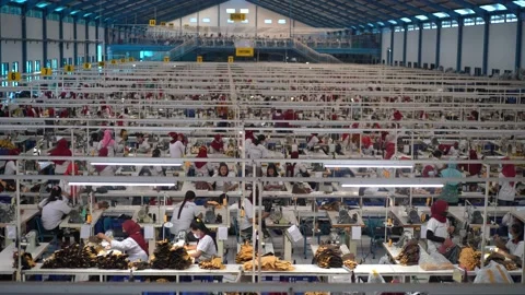 Sewing machine factory Stock Footage 156941819