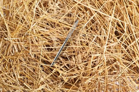 Sewing needle sticking from haystack, closeup view 스톡 사진