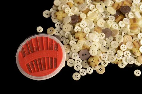 Sewing Needles With Buttons Foto stock