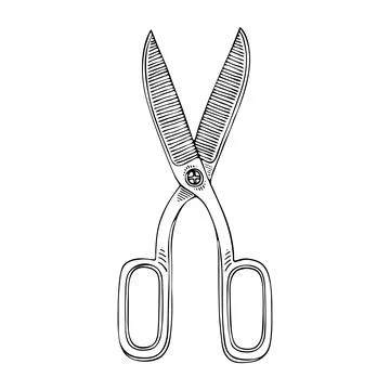 Sewing scissors line art. Tool for trimming threads fabrics.. Tailor professi Stock Illustration