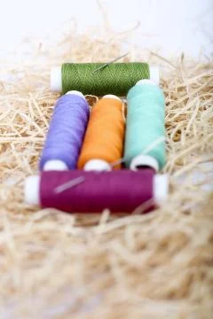 Sewing Thread Stock Photos