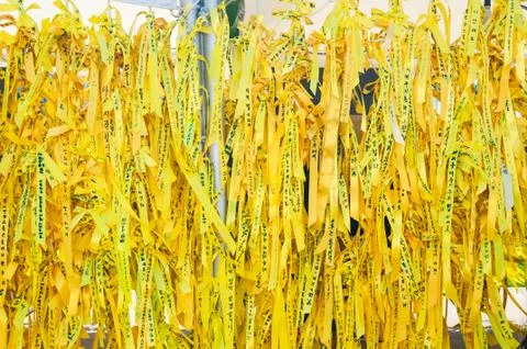 Sewol memorial Stock Photos
