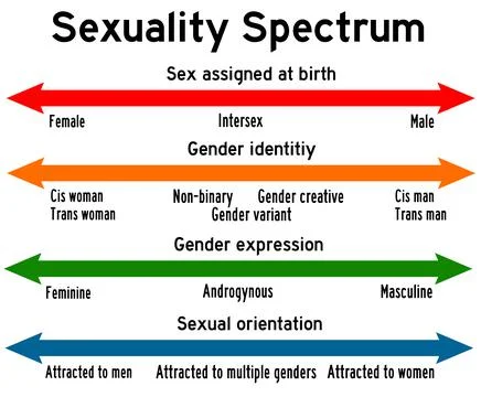 Sexuality spectrum Stock Illustration