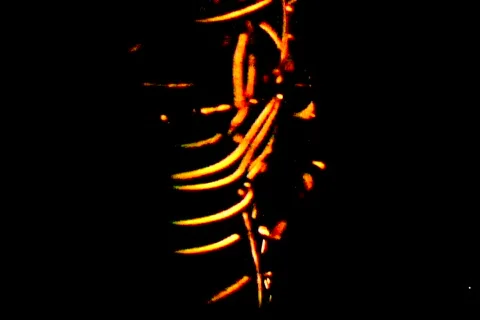 Sexy Body wireframe dance visual Stock Footage 475117