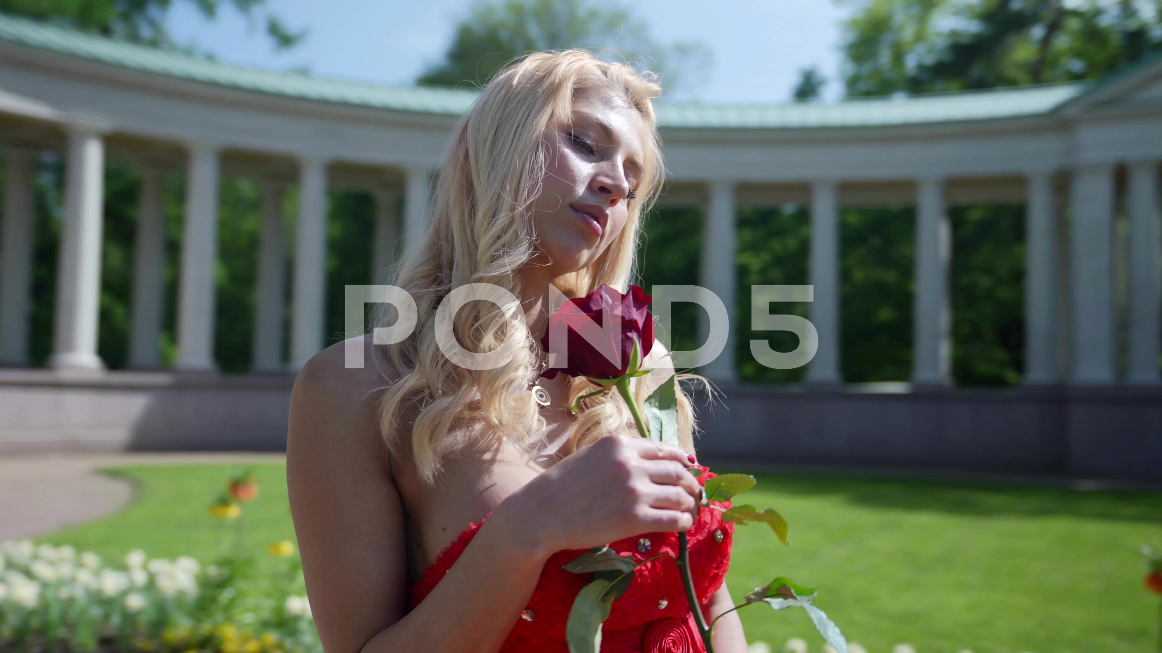 sexy busty blonde with red rose in garden of luxury palace, portrait in sunny