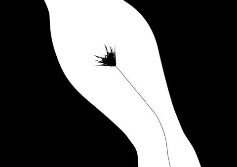 Sexy Stock Illustration