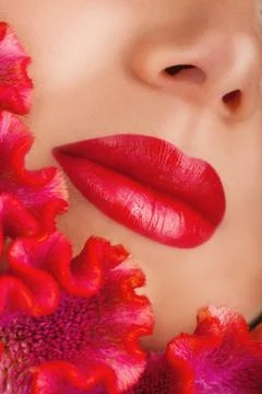 Sexy lips Stock Photos