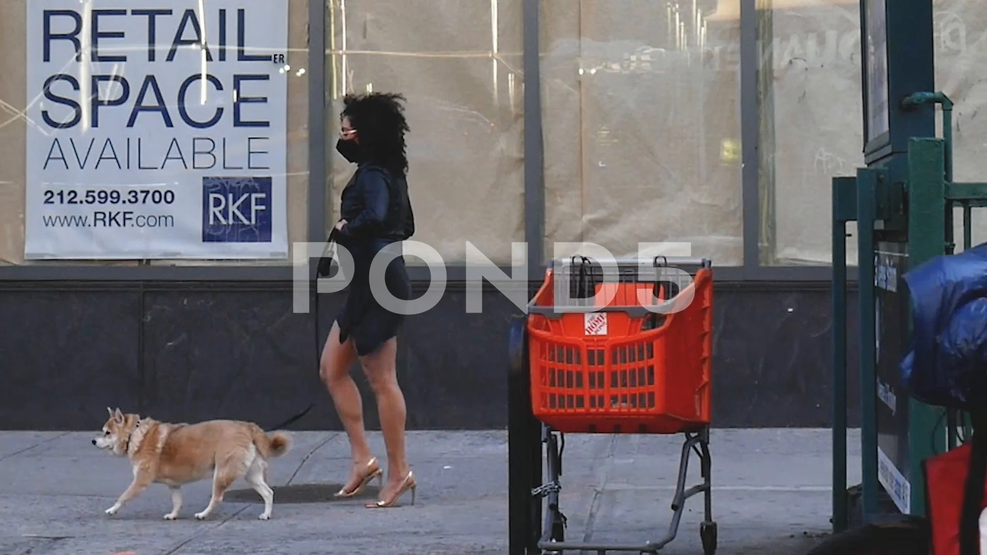 Sexy Long Legged Face Masked Dog Walking NYC Coronavirus Hottie