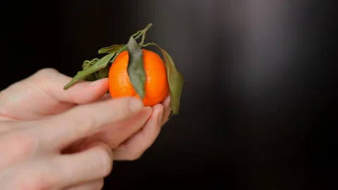 Sexy orange fruit in the right hands. Visual aids and wildlife lesson. Stock-Footage 99197899