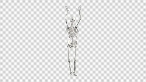 Sexy Skeleton Dance Video stock 220043654