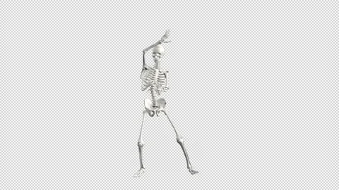 Sexy Skeleton Dance Video stock 220043695