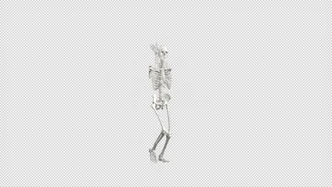Sexy Skeleton Dance Video stock 220044095