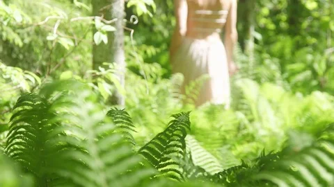 Sexy woman walking between ferns in sunny forest Stock Footage