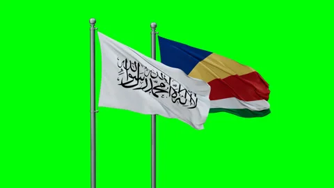 Seychelles and Afghanistan two flags Stock Footage 295064366