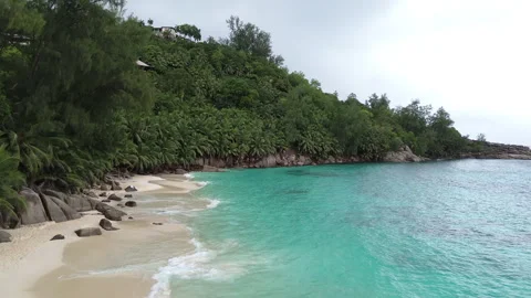 Seychelles beach and palm trees from a bird's eye view 库存影片 290314569